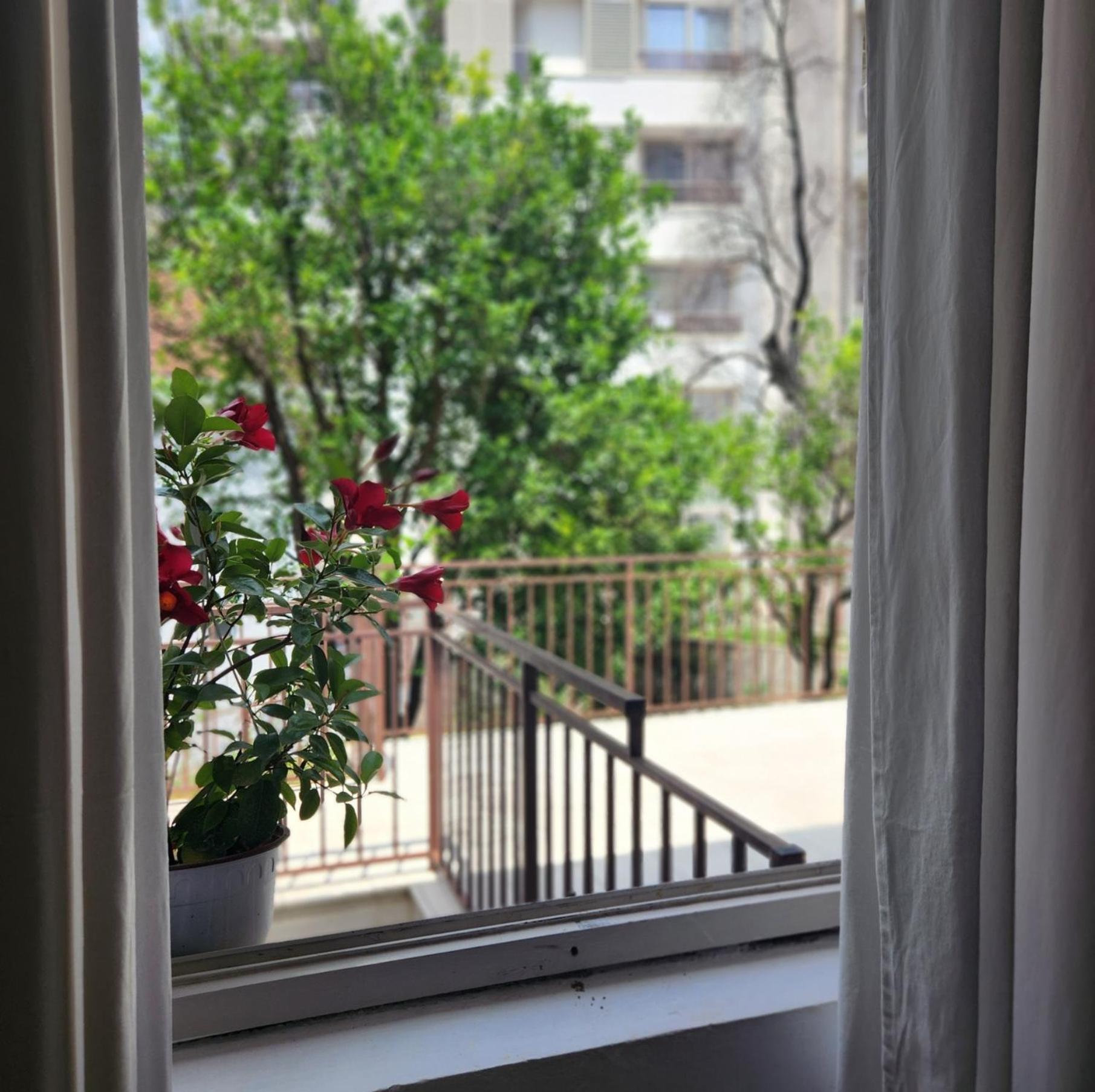 Bela Kuca Studio Apartments-Na Korak Do Mora-A Step To The Sea ラファイロヴィチ エクステリア 写真